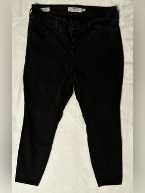 18 Short Torrid Black High-Rise Jeggings